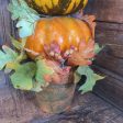 5 PUMPKIN TOPIARY Online